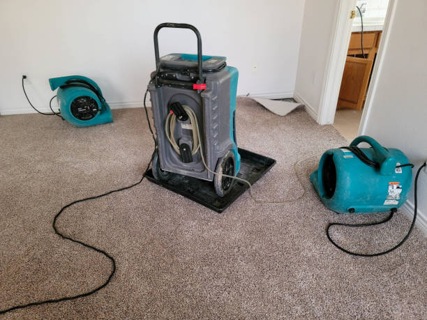 Best Ceiling water damage repair  in Lake Placid, NY