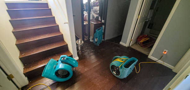Best Fire Damage Restoration  in Lake Placid, NY