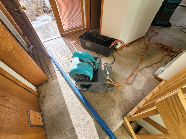 Trusted Lake Placid, NY Water damage restoration Experts