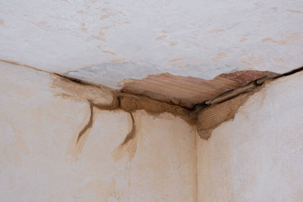 Best Water damage restoration mold remediation  in Lake Placid, NY