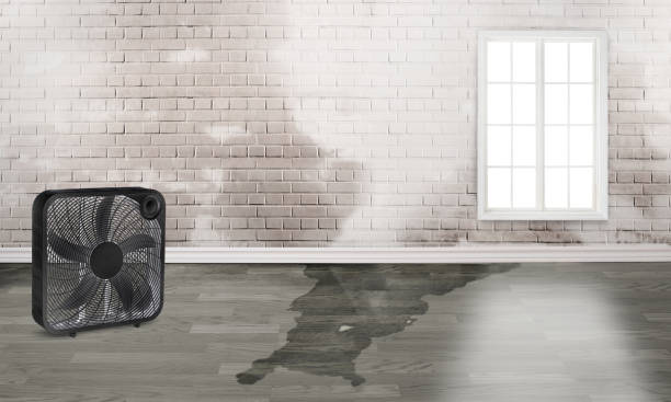  Lake Placid, NY Water damage restoration Pros