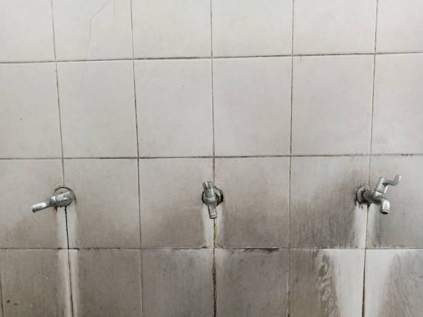 Best Ceiling water damage repair  in Lake Placid, NY