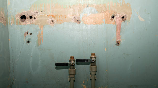 Best Water damage restoration specialists  in Lake Placid, NY