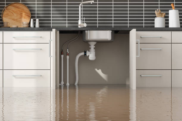 Best Flood restoration services  in Lake Placid, NY